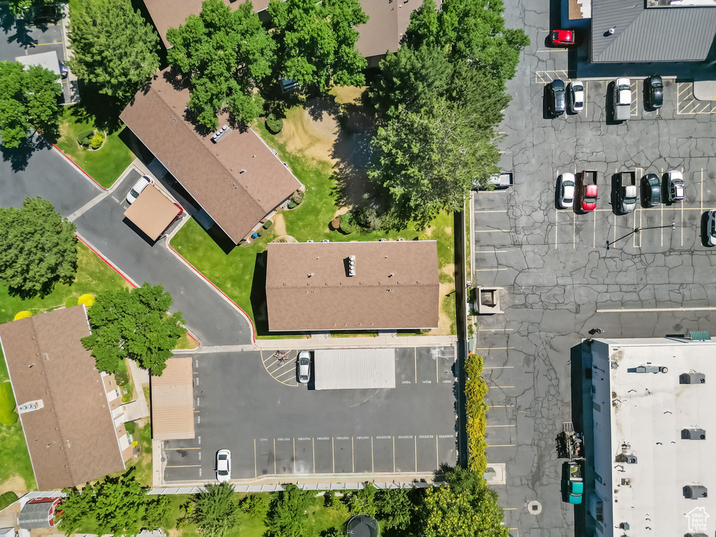 Bird\'s eye view