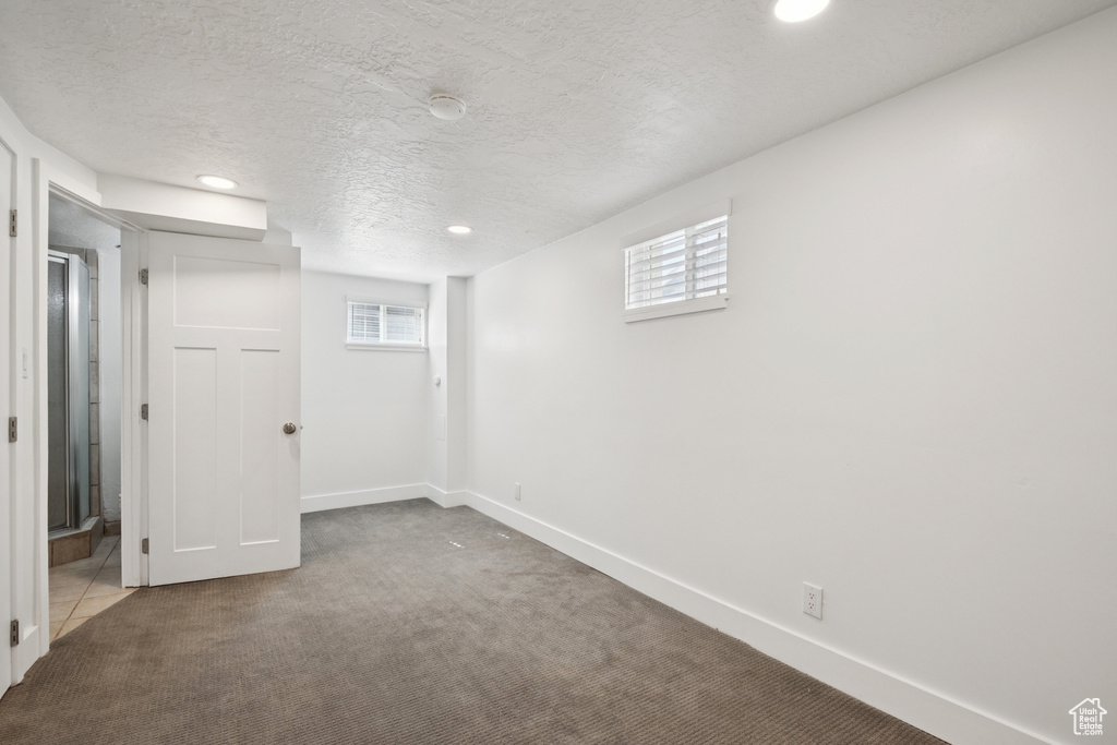Below grade area featuring carpet floors, recessed lighting, and a textured ceiling