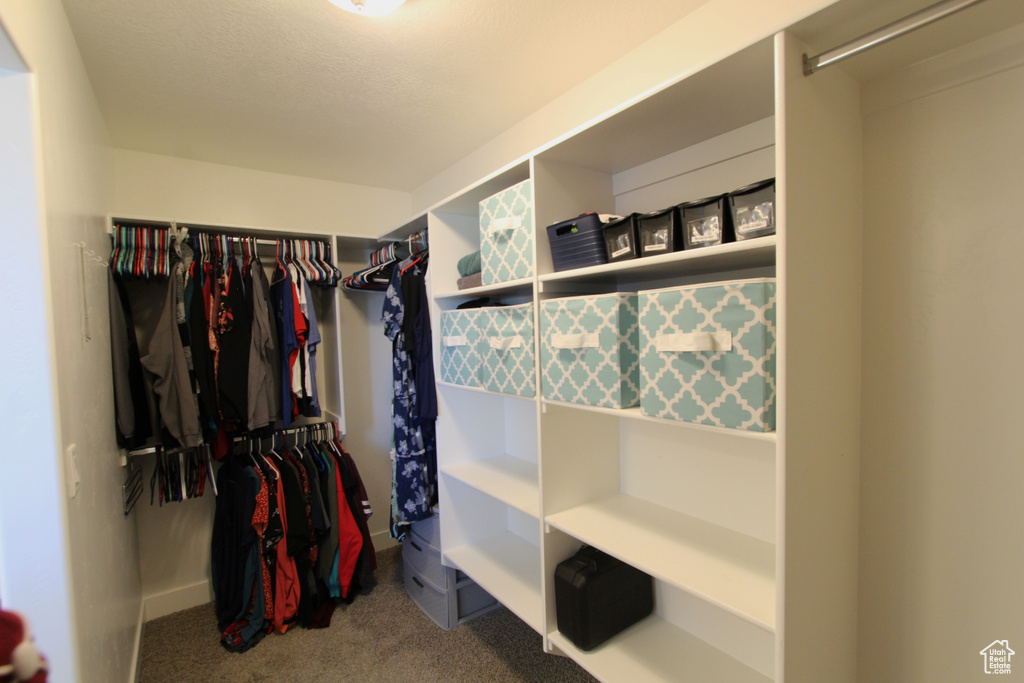 Spacious closet featuring carpet flooring