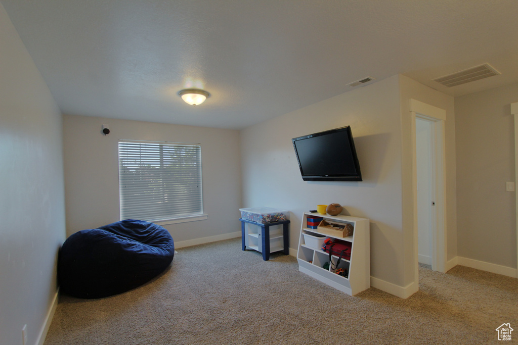 Living area featuring carpet floors