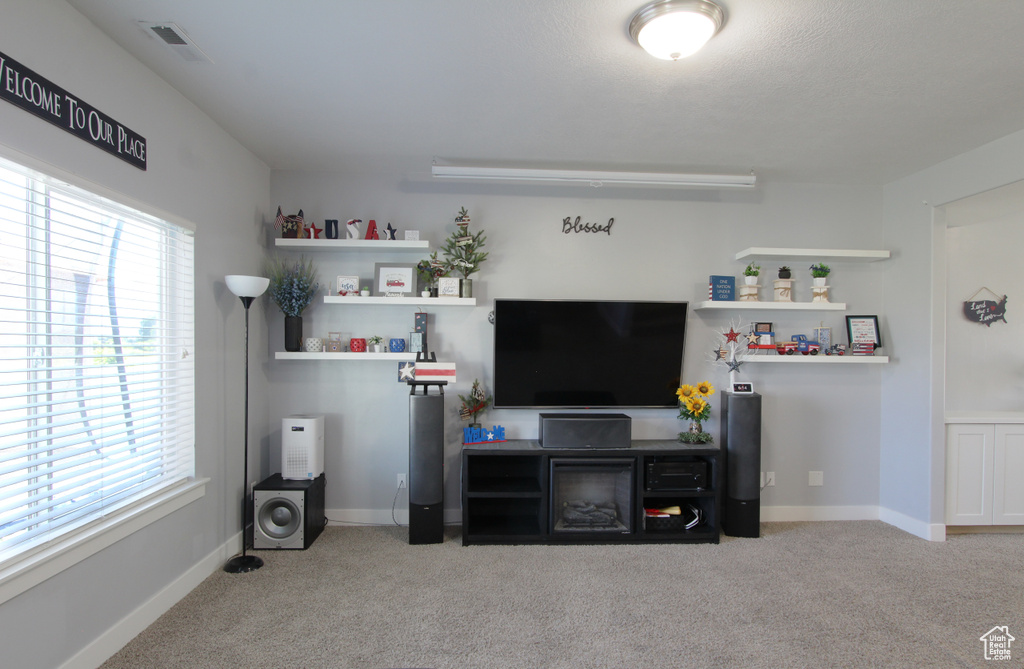 Living area featuring carpet floors and healthy amount of natural light