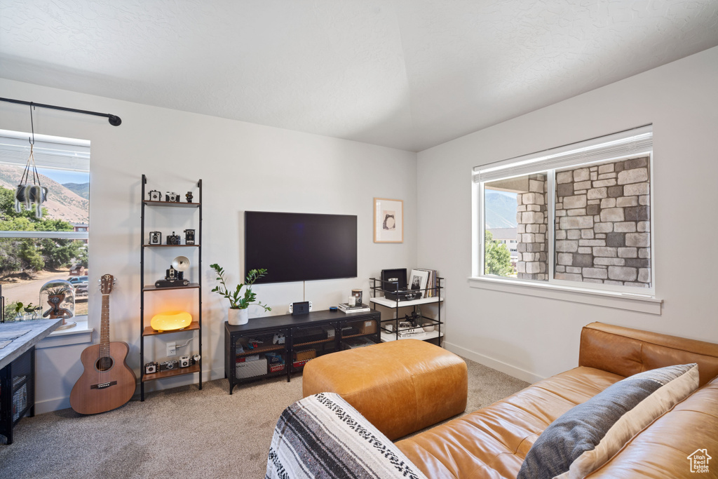 490 S 100 W #F305 Springville, UT 84663