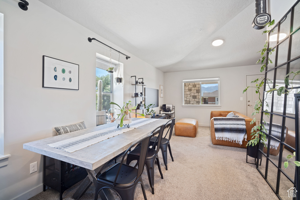 490 S 100 W #F305 Springville, UT 84663