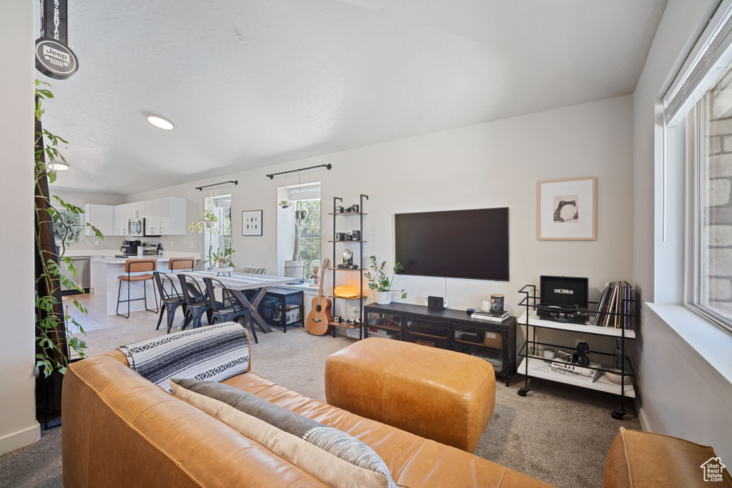 490 S 100 W #F305 Springville, UT 84663