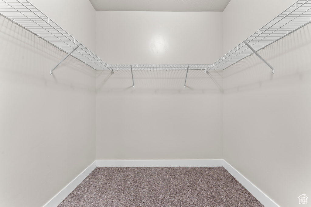 Spacious closet featuring carpet