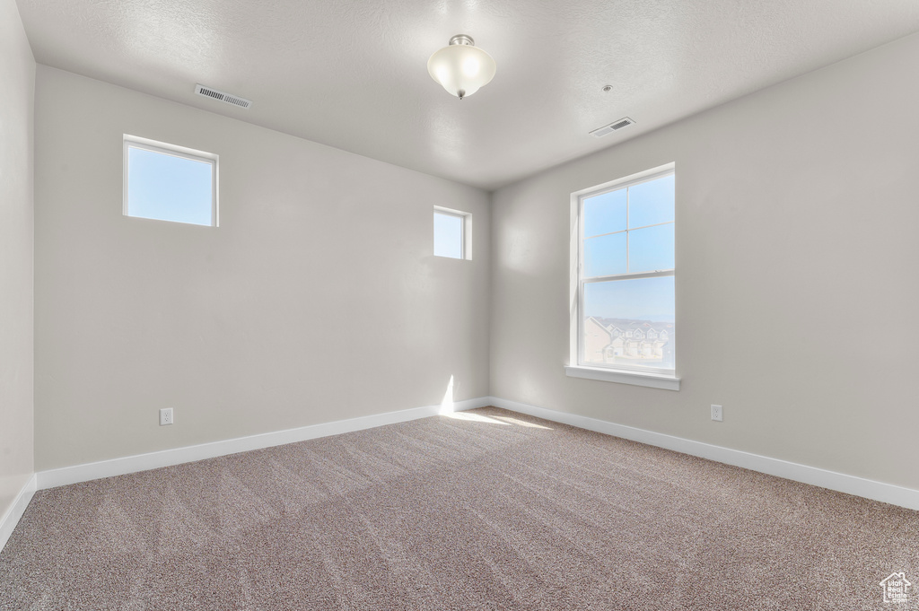 Carpeted spare room featuring healthy amount of natural light