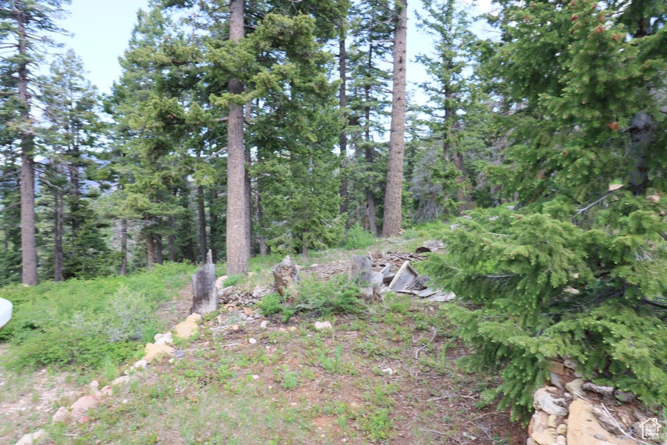 Photo 18 for MLS #2097469 at 6240 W Grizzly Ln