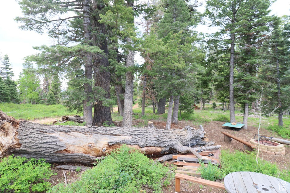 Photo 14 for MLS #2097469 at 6240 W Grizzly Ln