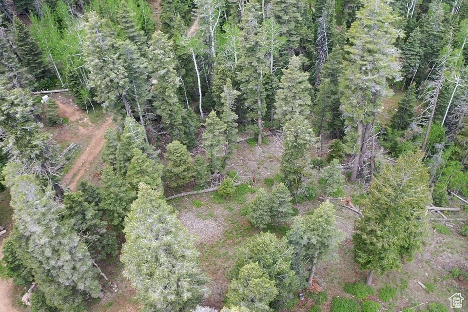 Photo 23 for MLS #2097469 at 6240 W Grizzly Ln