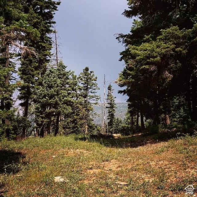 Photo 12 for MLS #2097469 at 6240 W Grizzly Ln
