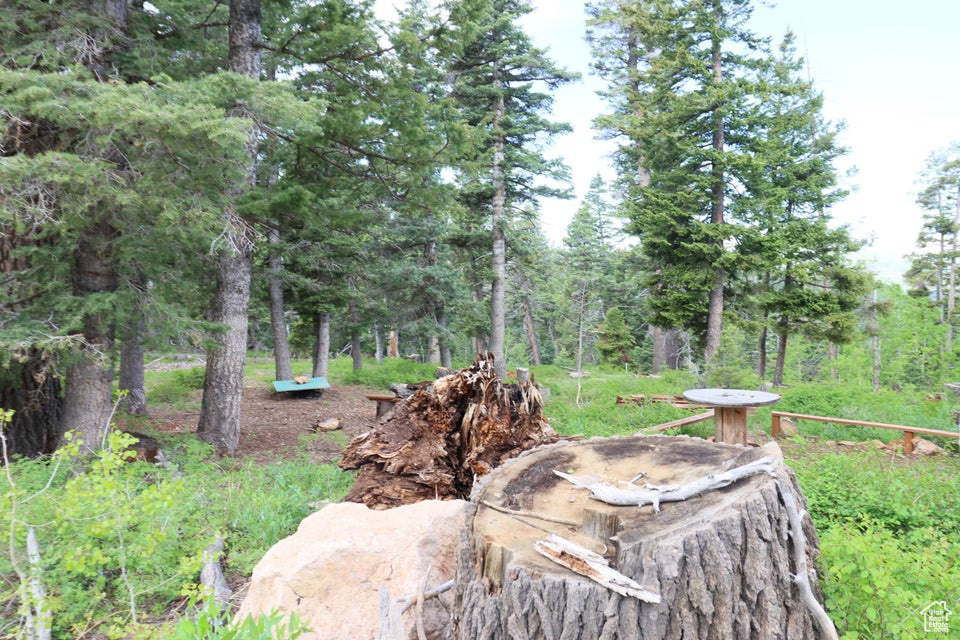 Photo 17 for MLS #2097469 at 6240 W Grizzly Ln