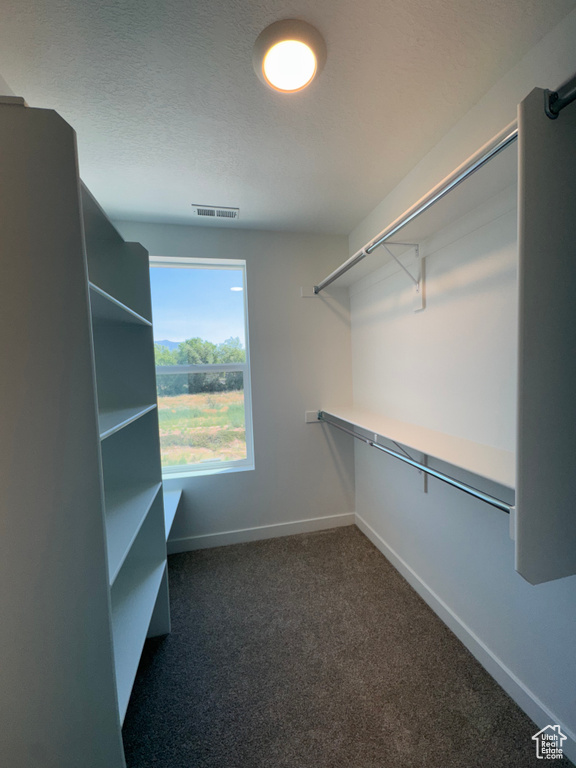 Spacious closet featuring carpet floors