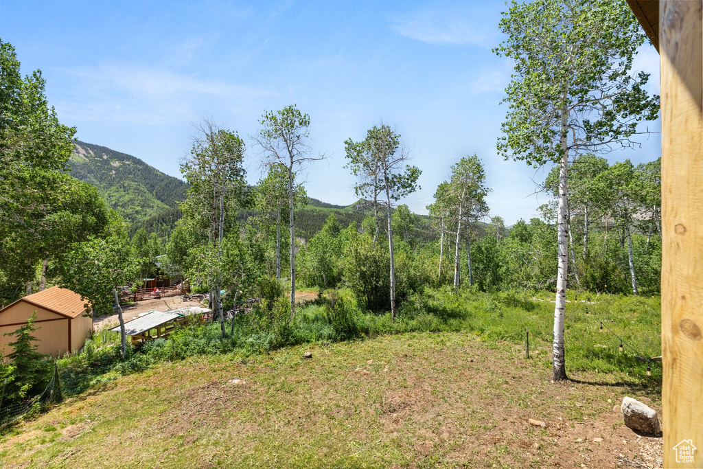 6724 CAMPFIRE CIR Oakley, UT 84055