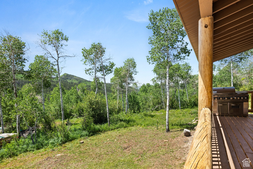 6724 CAMPFIRE CIR Oakley, UT 84055