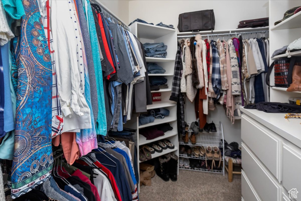 Walk in closet with carpet floors