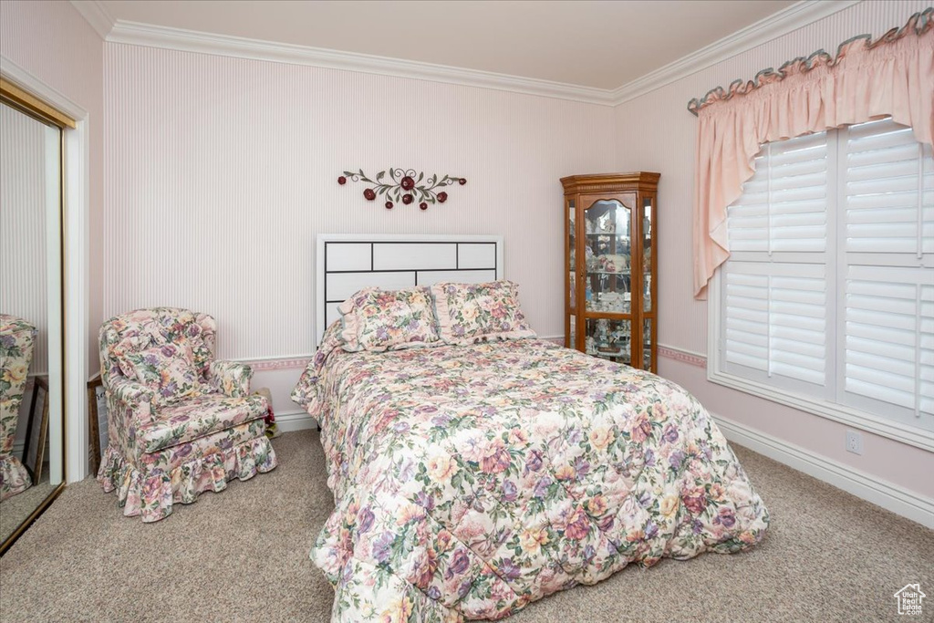 Carpeted bedroom featuring ornamental molding, multiple windows, and a closet