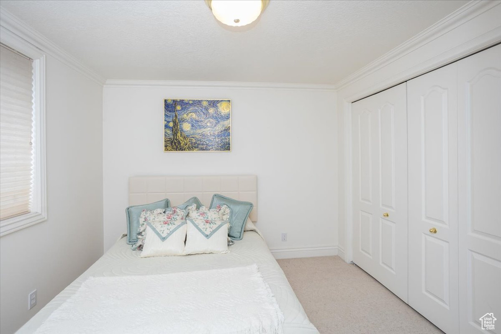 Bedroom with crown molding, a closet, and light colored carpet