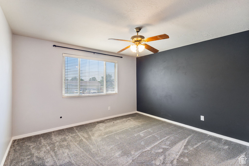 Spare room featuring ceiling fan and carpet