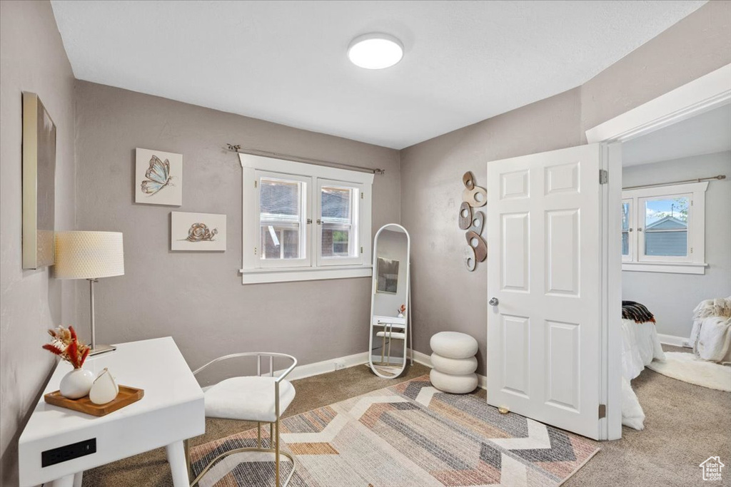 Office featuring carpet