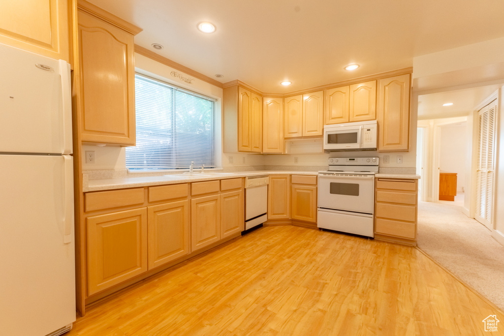 571 E GOLDEN PHEASANT DR Draper, UT 84020