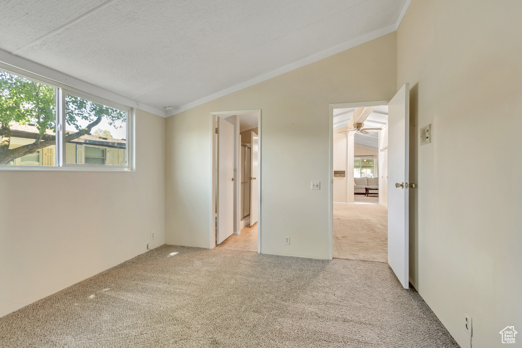 Empty room featuring plenty of natural light, light carpet, lofted ceiling, ornamental molding, and ceiling fan