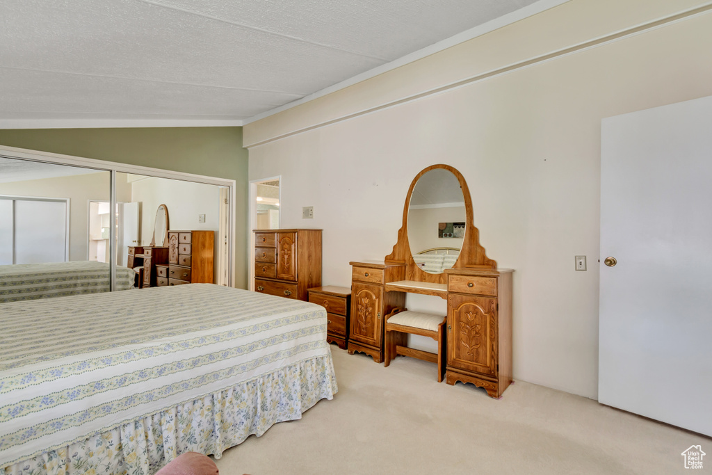 Carpeted bedroom featuring lofted ceiling and a closet