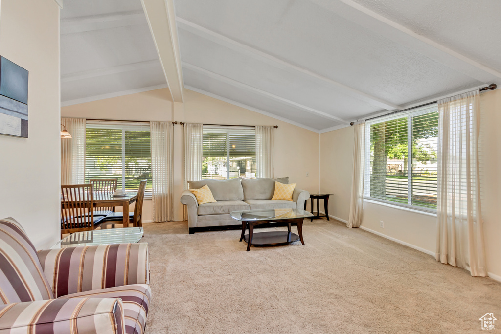 Living area featuring carpet flooring