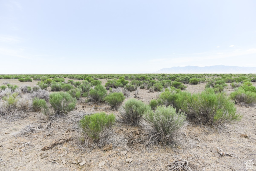  Grantsville, UT 84029