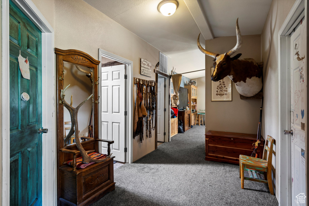 42749 W 9750 N Hanna, UT 84031