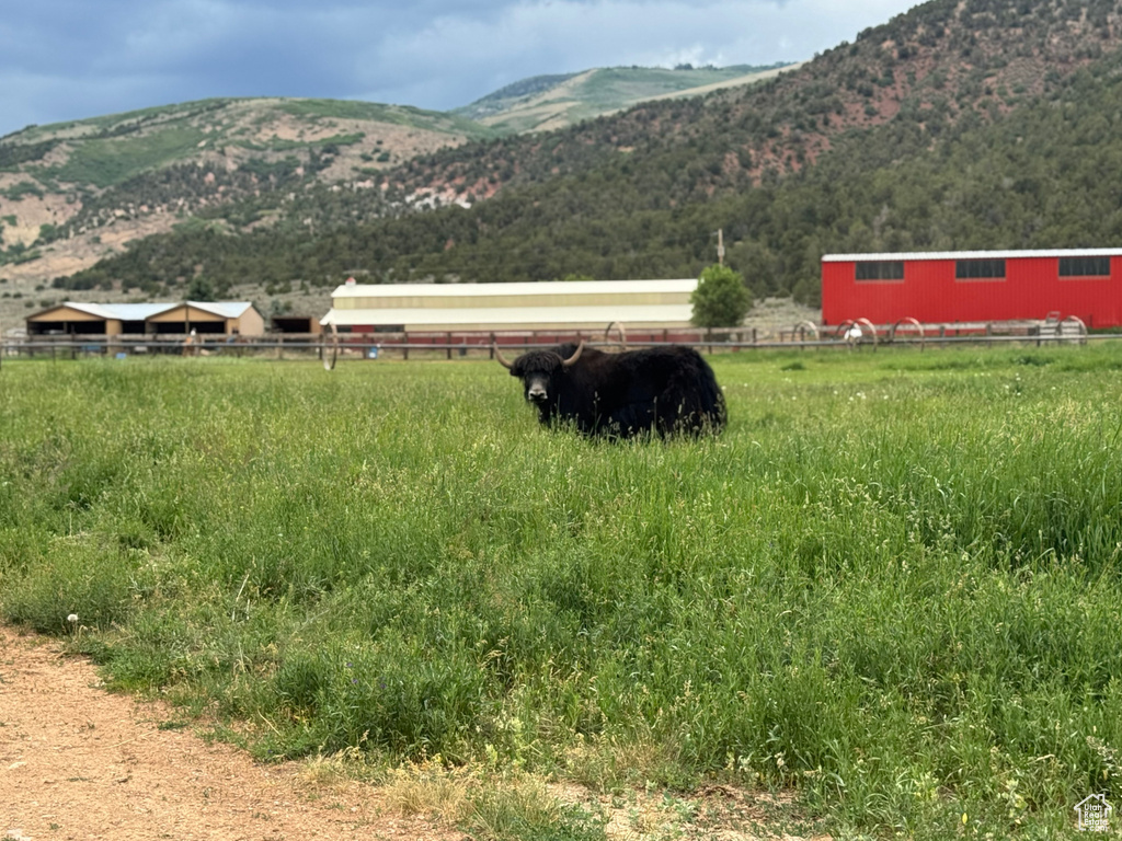 42749 W 9750 N Hanna, UT 84031