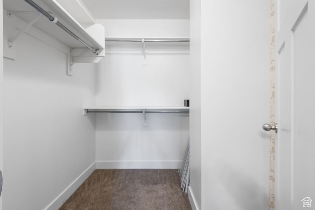 Spacious closet with carpet flooring