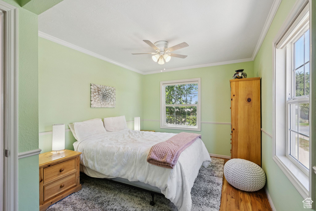 Bedroom with crown molding, wood finished floors, and a ceiling fan