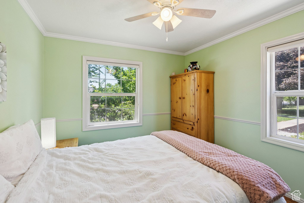 Bedroom with multiple windows, ornamental molding, and a ceiling fan