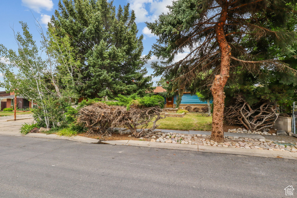 3310 W ENTERADO AVE West Valley City, UT 84119