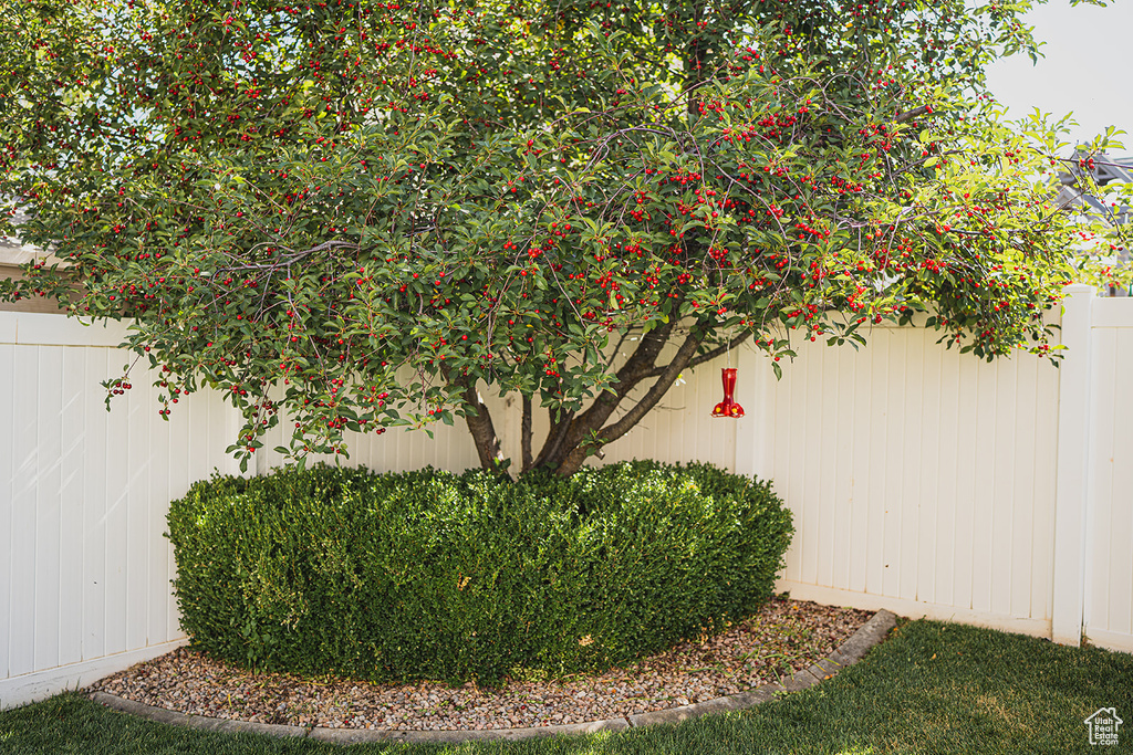 279 S 950 W Spanish Fork, UT 84660