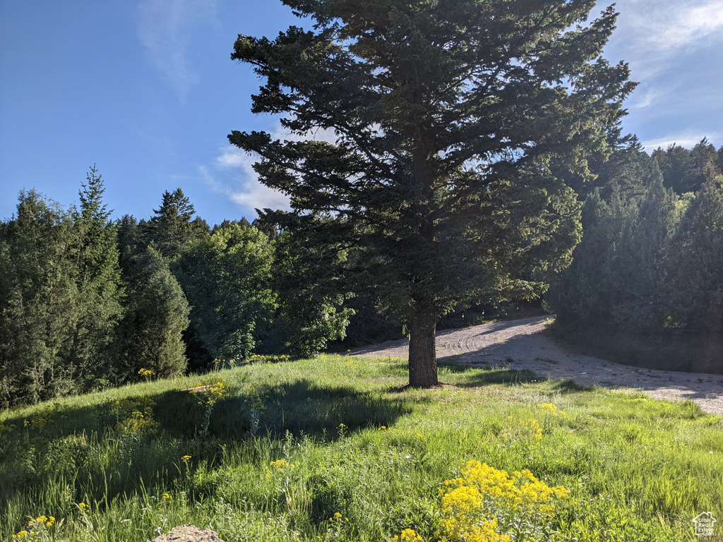  Lava Hot Springs, ID 83246