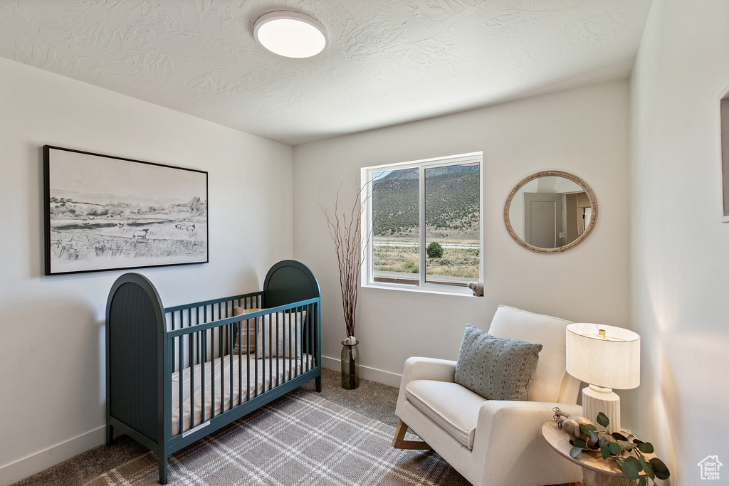 Photo 26 for MLS #2097594 at 2539 W Black Sage Dr