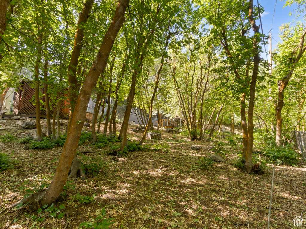 View of undeveloped land