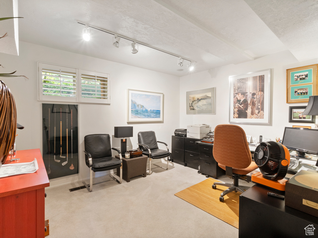 Office space featuring carpet floors and track lighting