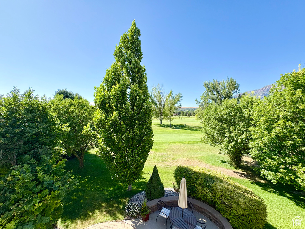 View of green lawn with a patio