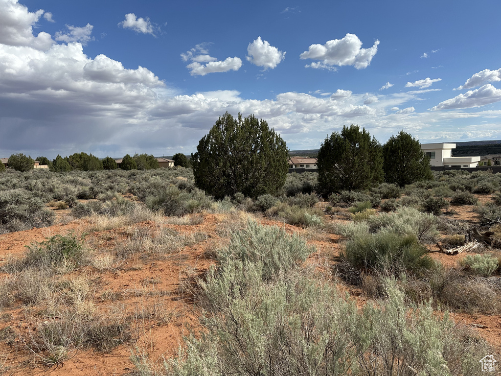 View of local wilderness