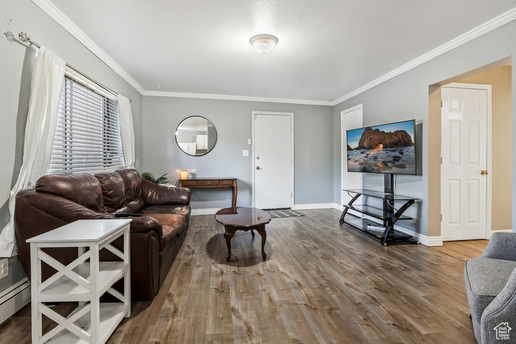 Living room featuring crown molding, wood finished floors, and a baseboard radiator