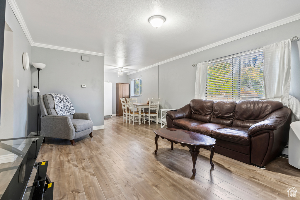 Living room featuring light wood-type flooring, crown molding, and ceiling fan