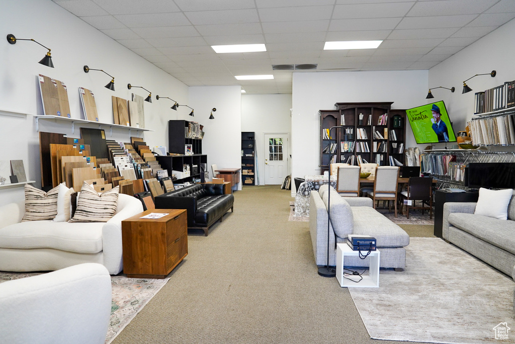Carpeted living room featuring a paneled ceiling