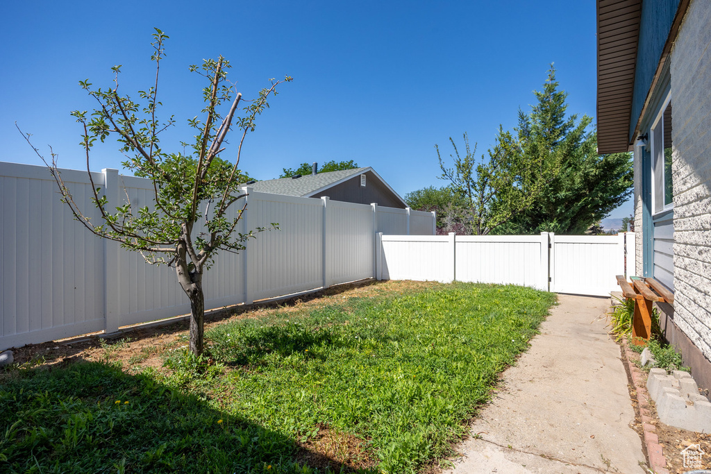 View of fenced backyard