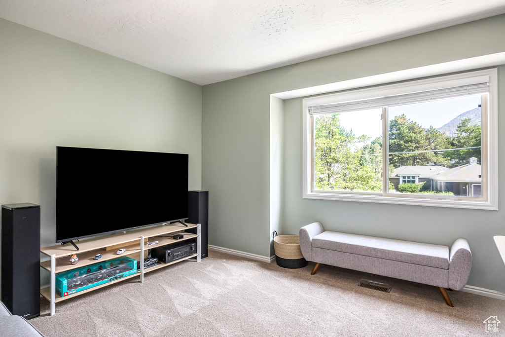 Sitting room with carpet flooring and baseboards