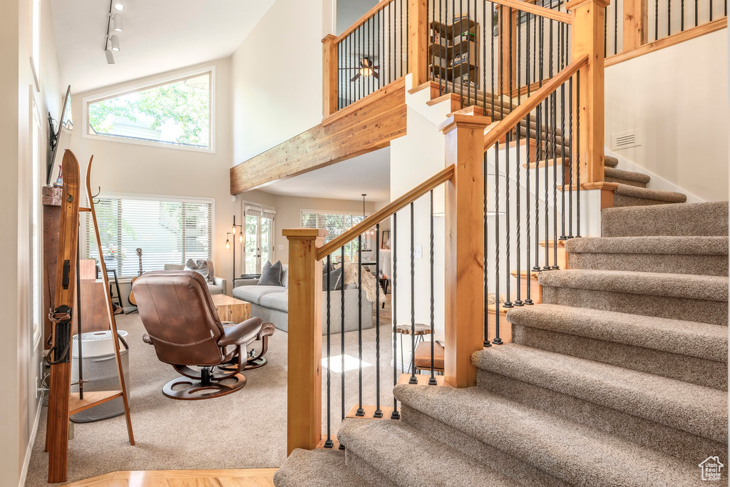Stairway with healthy amount of natural light, a towering ceiling, rail lighting, and carpet flooring