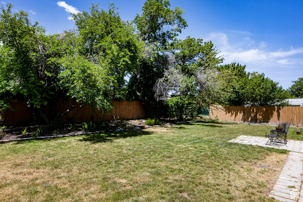 View of yard with a patio area