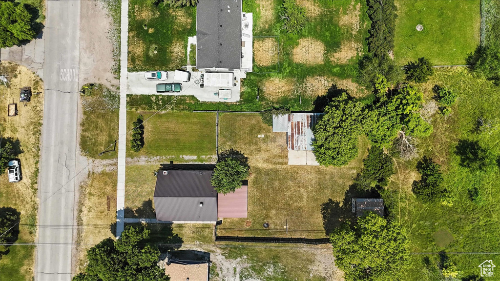 Bird\'s eye view