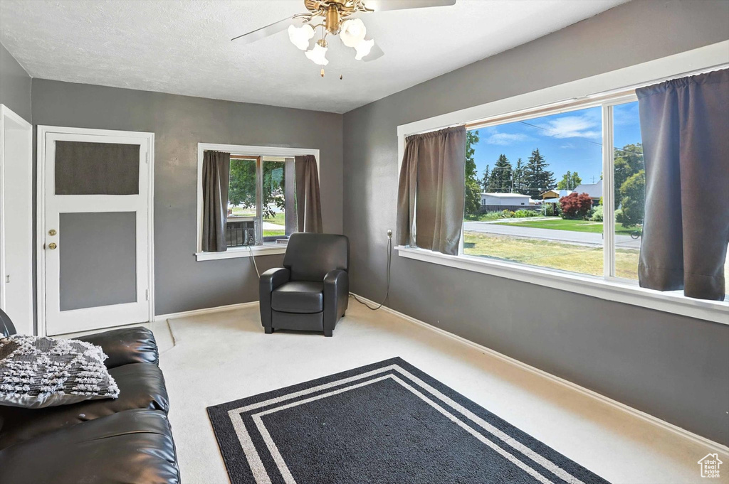 Carpeted living area with a ceiling fan and plenty of natural light